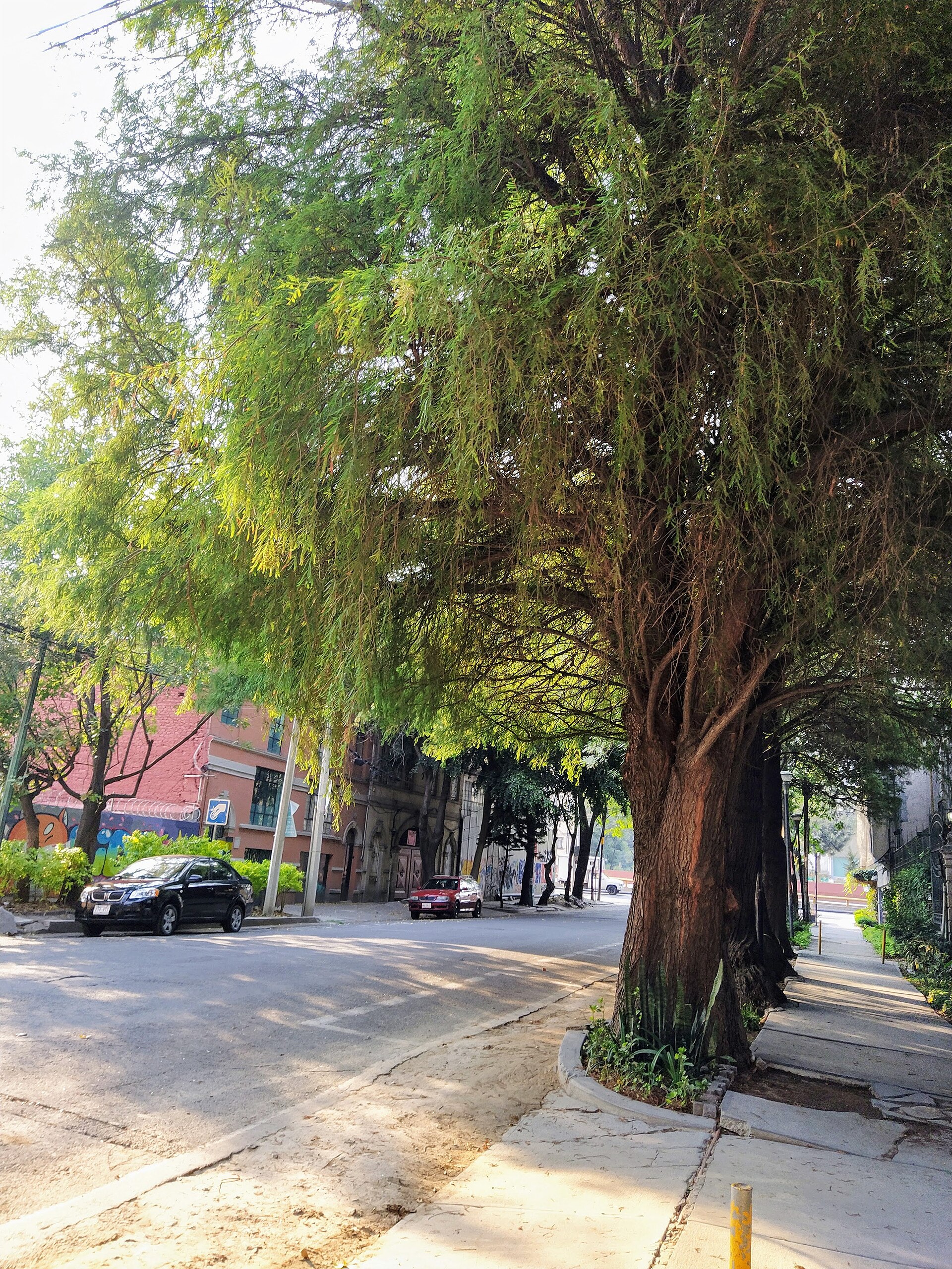 Additional city context image near Centro de la Imagen in Mexico City