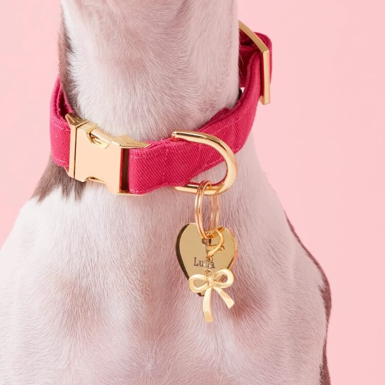 A gold-toned bow-shaped charm for a dog collar.