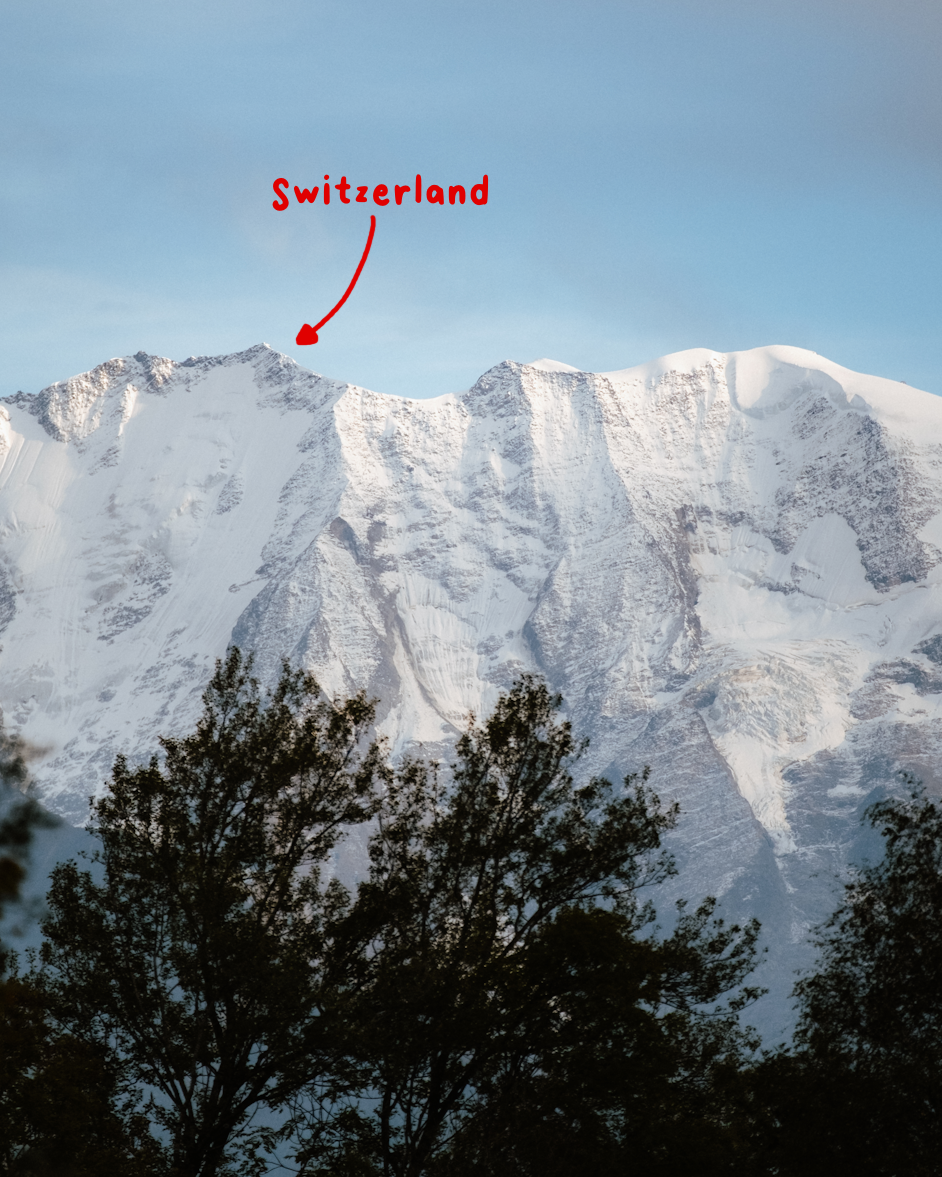Landscape view of snow-capped mountains in the Swiss Alps with pine trees in the foreground.