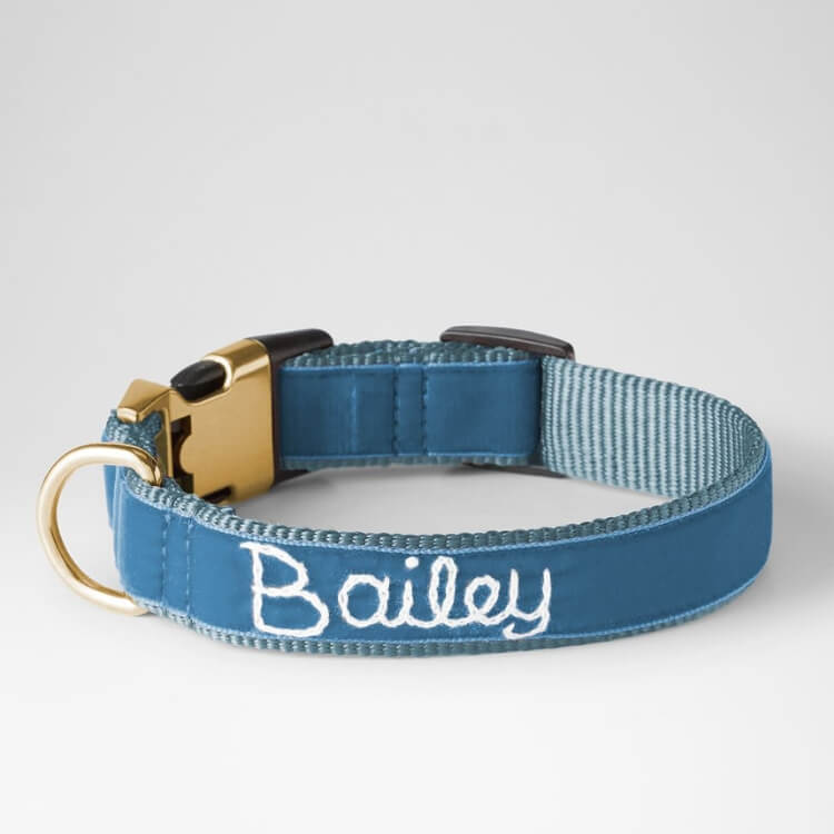 A plush velvet dog collar with high-end embroidery.