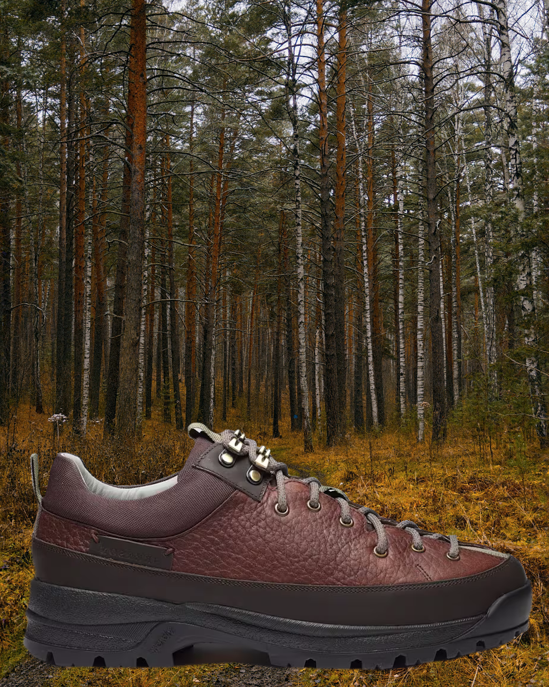 A pair of Paraboot Montana shoes featuring a sleek climbing-style lacing system and premium leather.