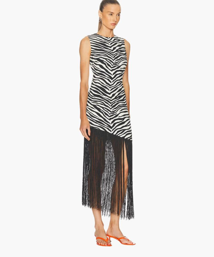 Revolve Casablanca zebra-print fringe dress.